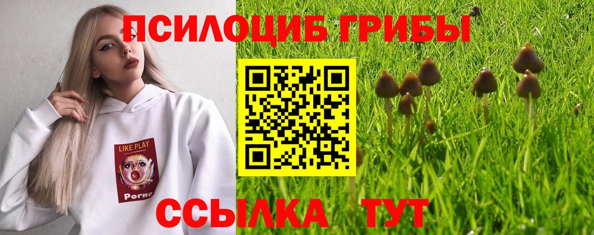 Псилоцибиновые грибы MAGIC MUSHROOMS  Вход с VPN  Моздок 