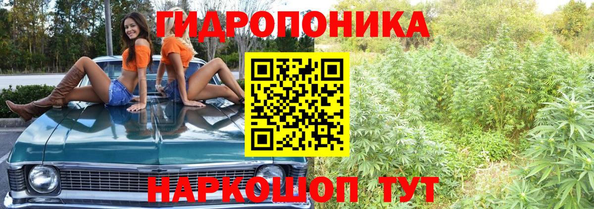 Шишки марихуана SATIVA & INDICA Моздок